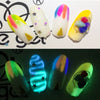 12 Colors/set Nail Art Glitter Phosphor Luminous Powder