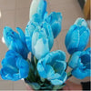 Tulip Seeds Tulip Flower 120 Particles / lot